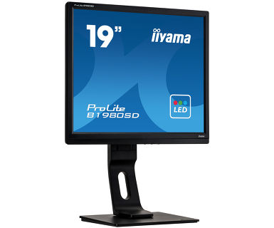 19-calowy monitor iiyama PROLITE B1980SD-B1